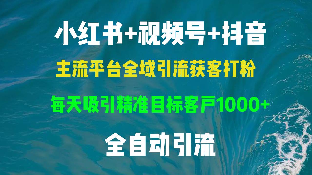 （13104期）小红书，视频号，抖音主流平台全域引流获客打粉，每天吸引精准目标客户...