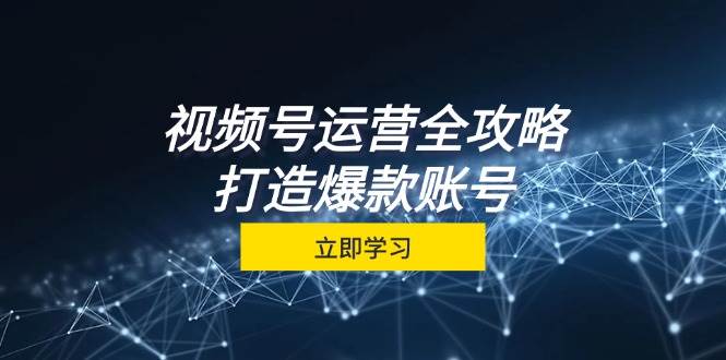 （12912期）视频号运营全攻略，从定位到成交一站式学习，视频号核心秘诀，打造爆款...