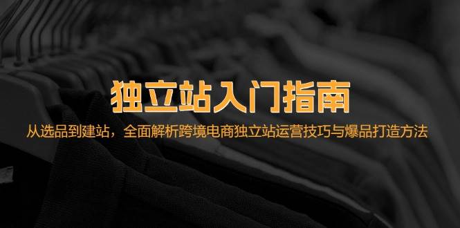 （12882期）独立站入门指南：从选品到建站，全面解析跨境电商独立站运营技巧与爆品...