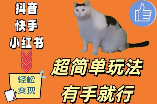 超简单玩法，有手就行，靠猫咪视频日入500+【揭秘】