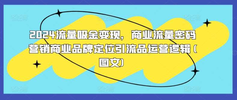 2024流量吸金变现，商业流量密码营销商业品牌定位引流品运营逻辑(图文)