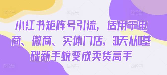 小红书矩阵号引流，适用于电商、微商、实体门店，30天从0基础新手蜕变成卖货高手