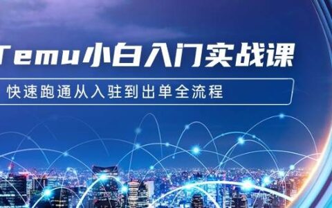 Temu小白入门实战课：跨境拼多多电商培训 快速跑通从入驻到出单全流程-12节